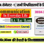 Communication In Everyday Life