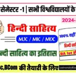 Hindi Major Course