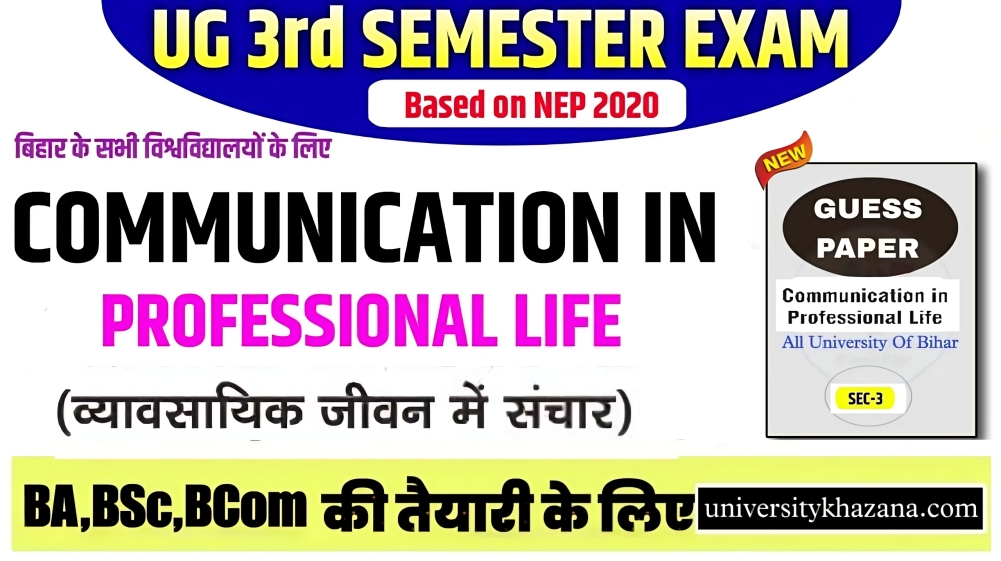 Communication in Professional Life Communication in Professional Life 3rd Semester Sec-03